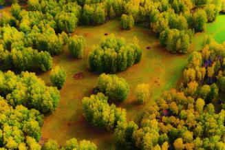 Golden autumn in Burabay Biosphere Reserve, Kazakhstan 
