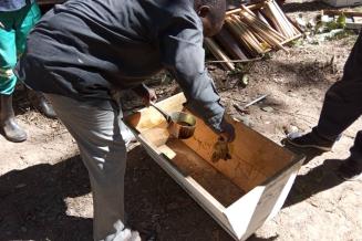 Beekeeping in Zambia 2