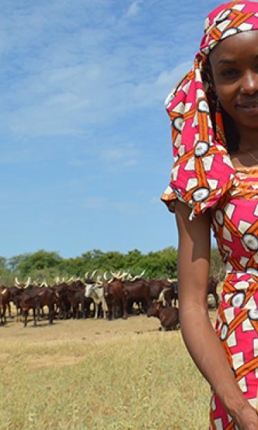 Hindou Oumarou Ibrahim dressed in fulani/mbororo traditional dress with a herd of bororo cowson background